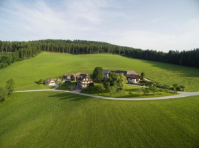 Гостиница Bauernhof Hoenigshof  Фишбах